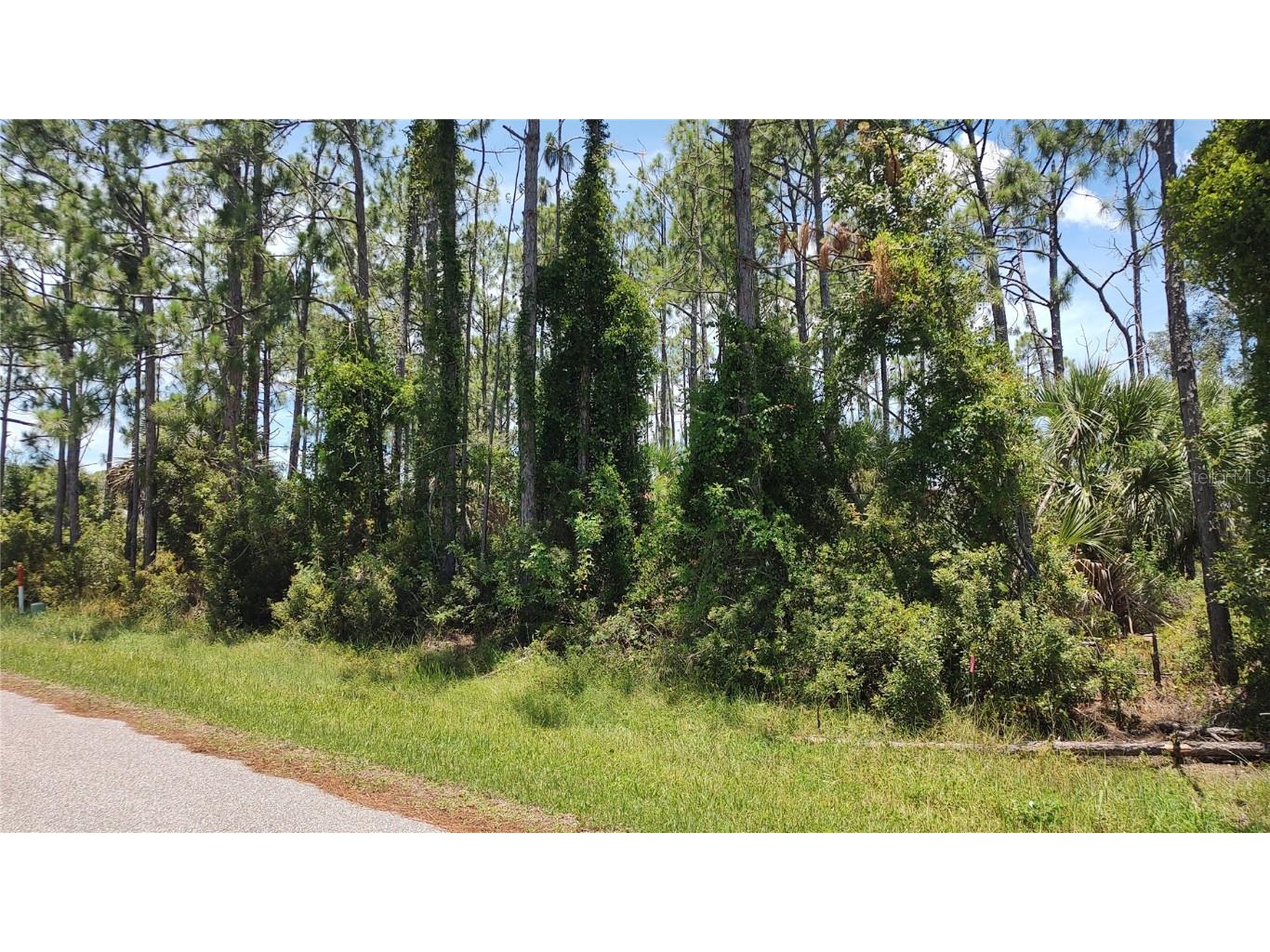 4375 Callaway Street Port Charlotte FL 33981 N6133514 image1