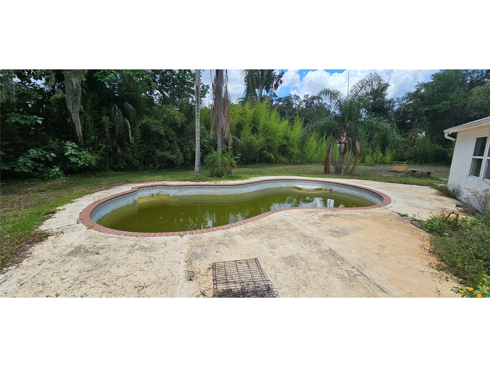 4375 Lindsey Loop Dover FL 33527 T3541294 image10