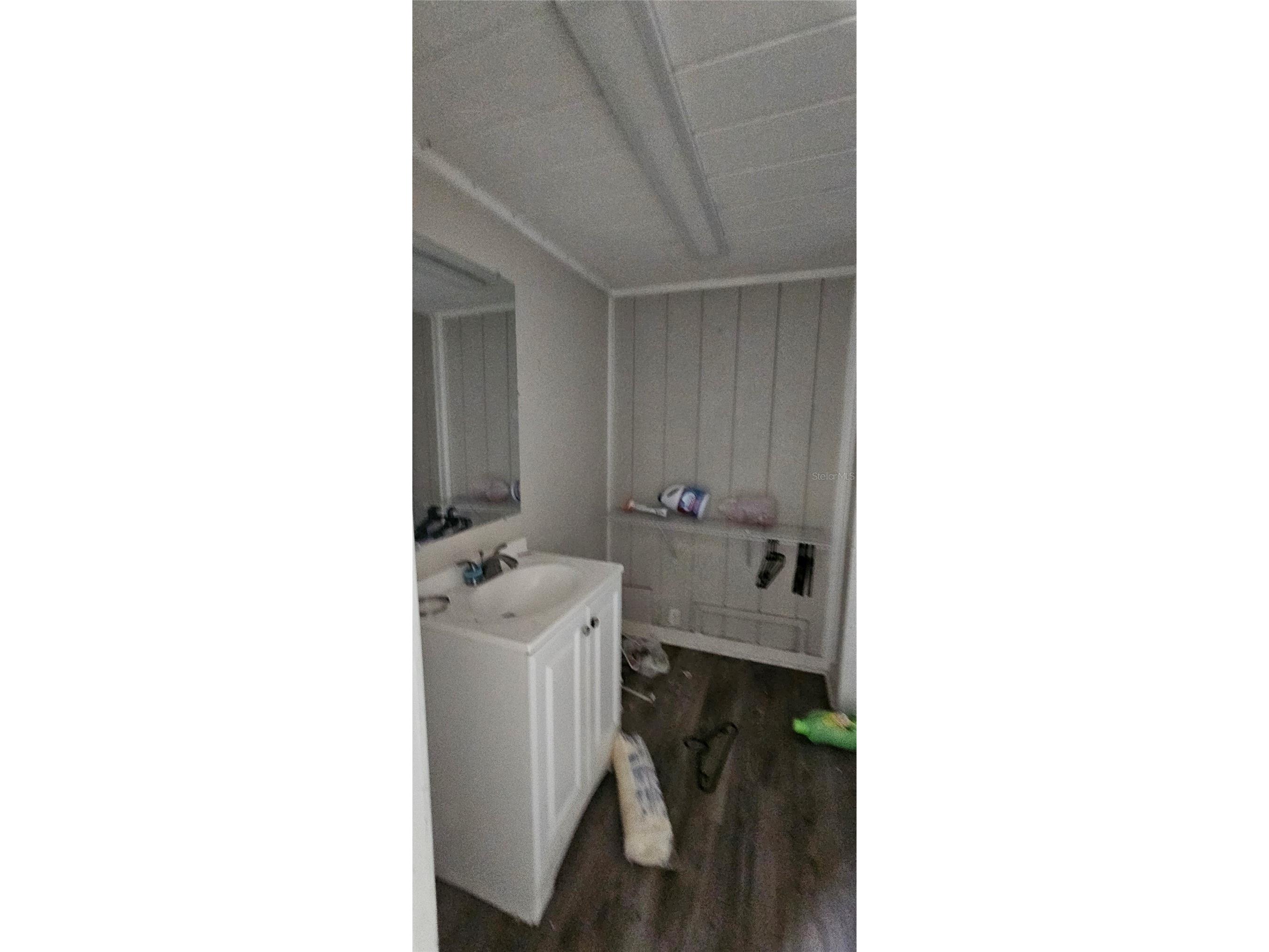 4375 Lindsey Loop Dover FL 33527 T3541294 image18