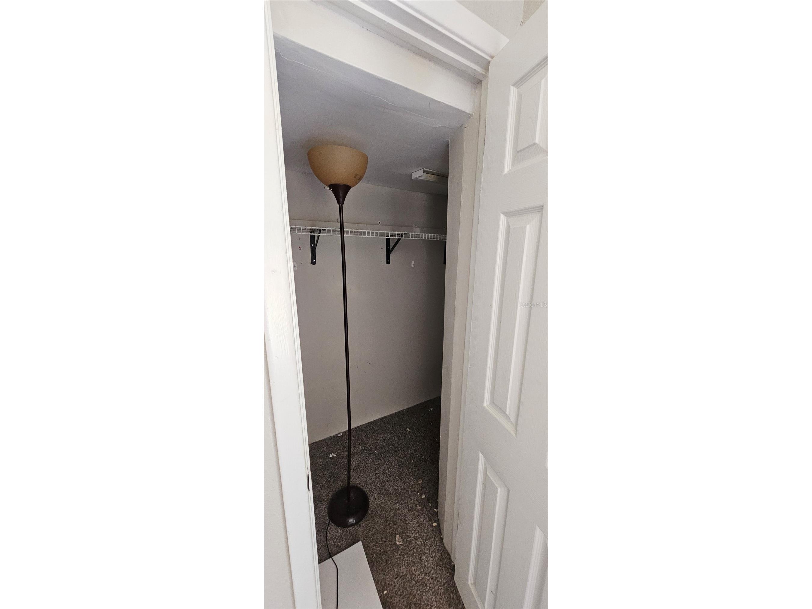 4375 Lindsey Loop Dover FL 33527 T3541294 image20
