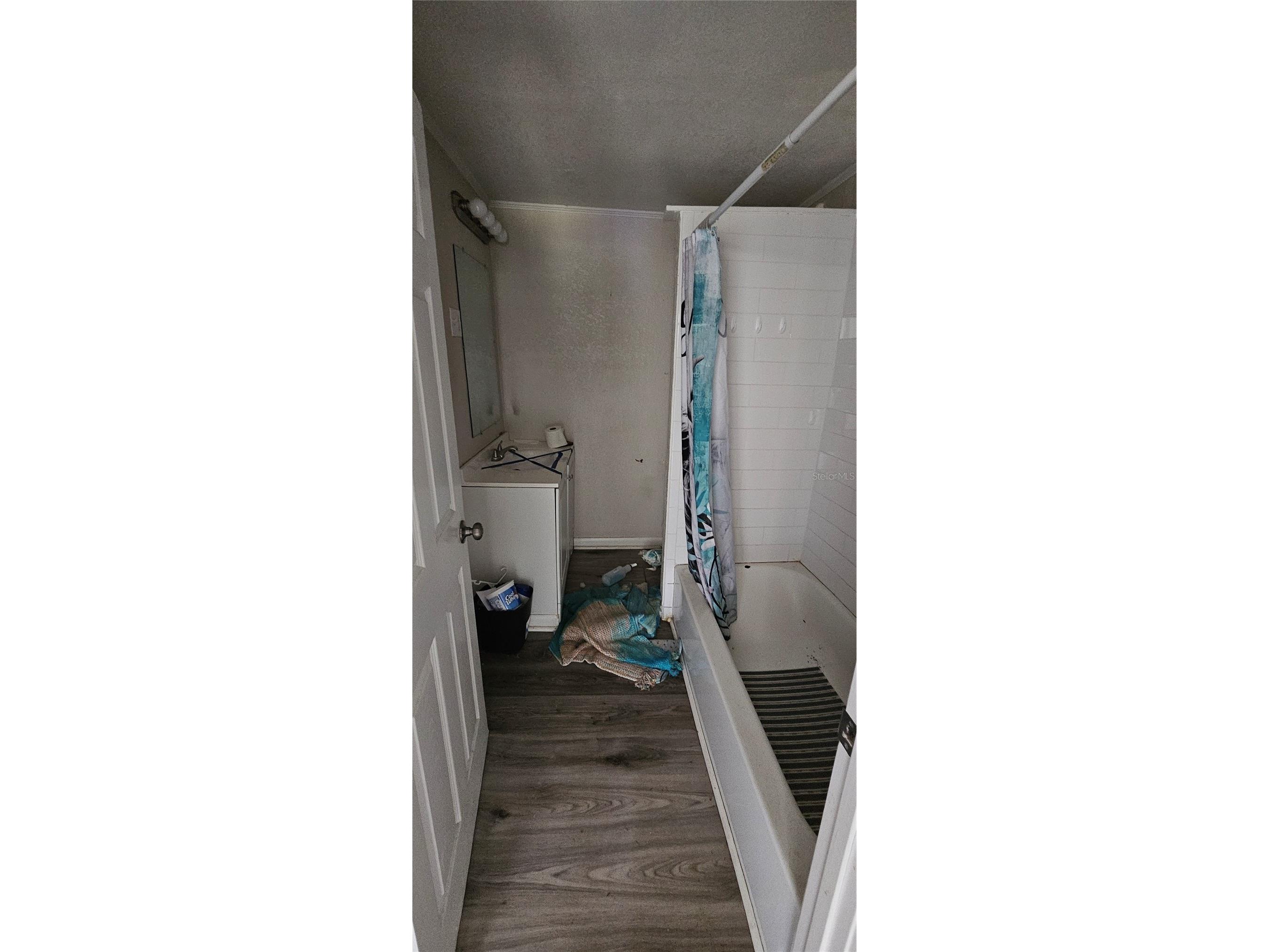 4375 Lindsey Loop Dover FL 33527 T3541294 image21