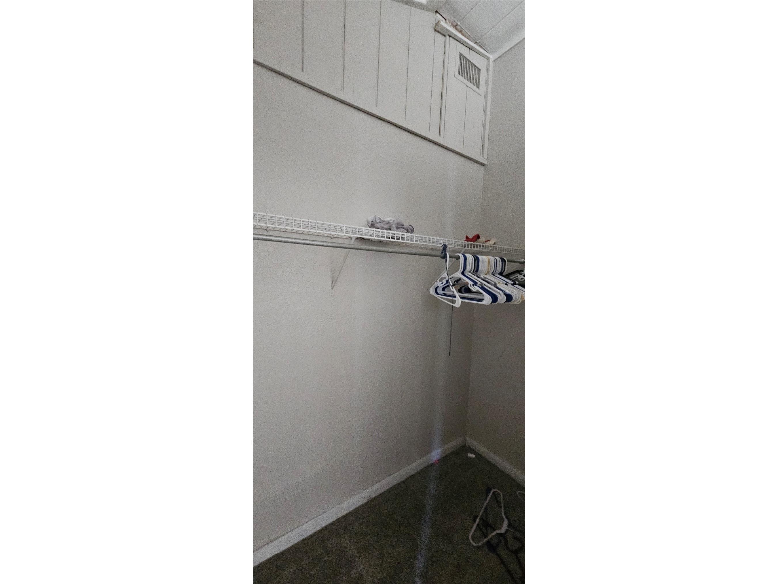 4375 Lindsey Loop Dover FL 33527 T3541294 image23