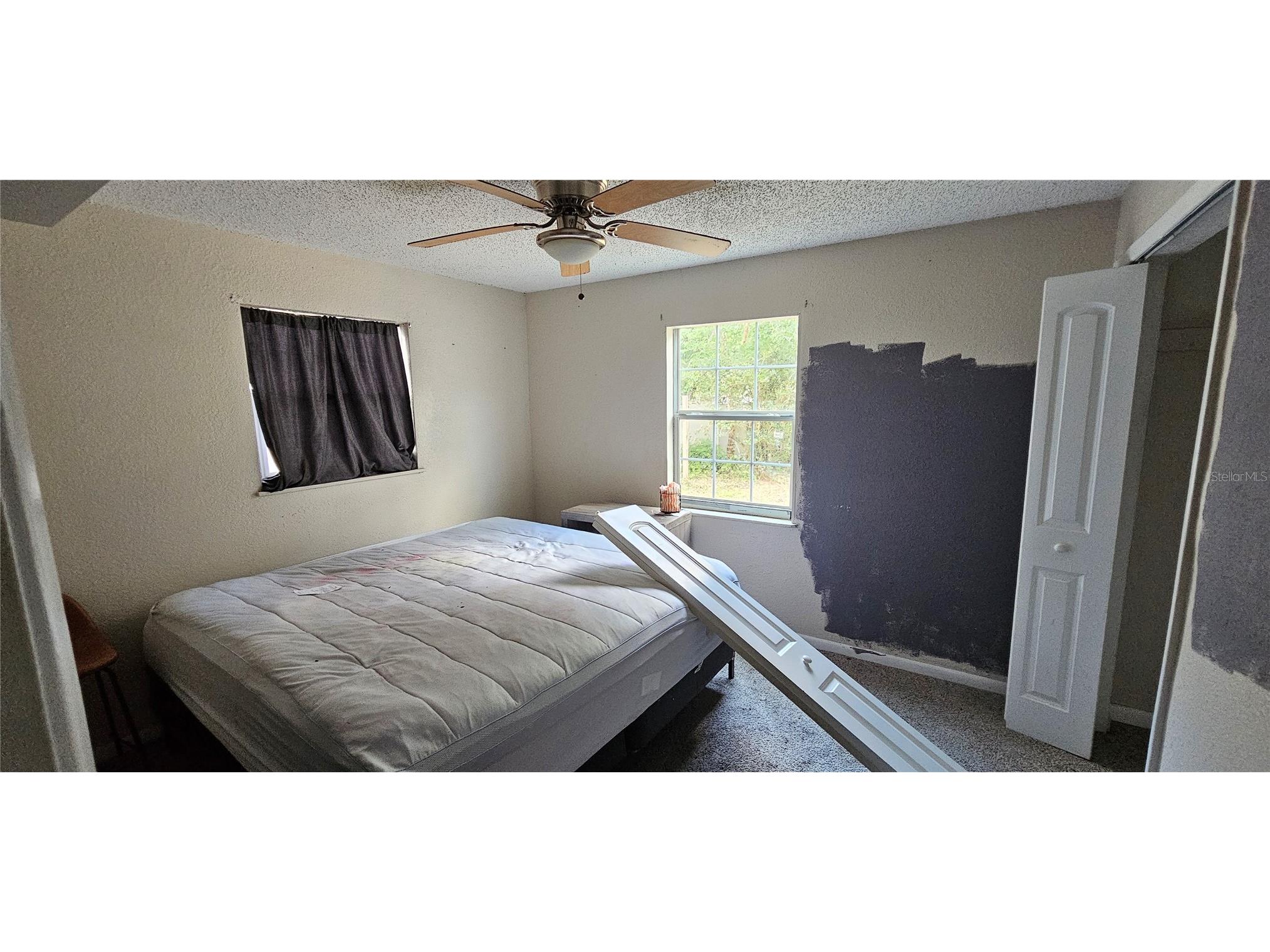 4375 Lindsey Loop Dover FL 33527 T3541294 image25
