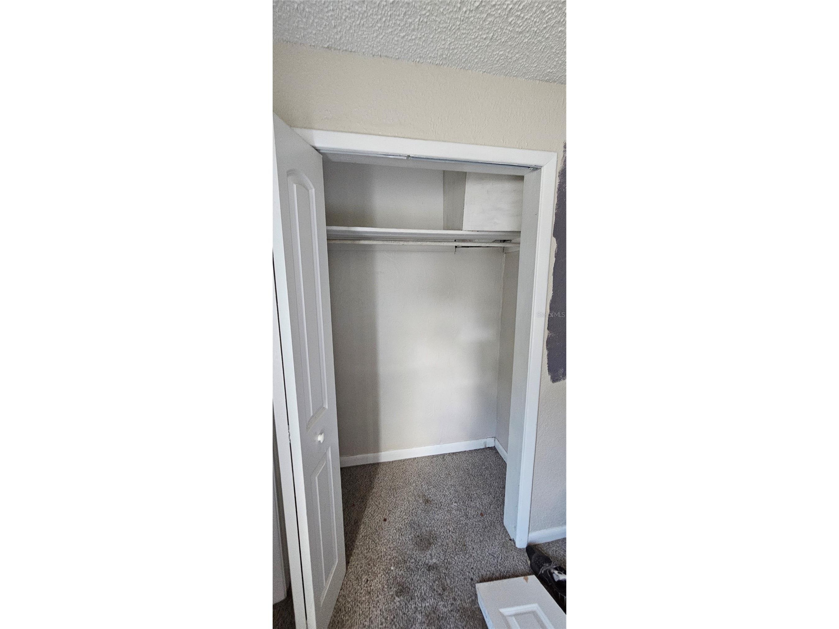 4375 Lindsey Loop Dover FL 33527 T3541294 image26