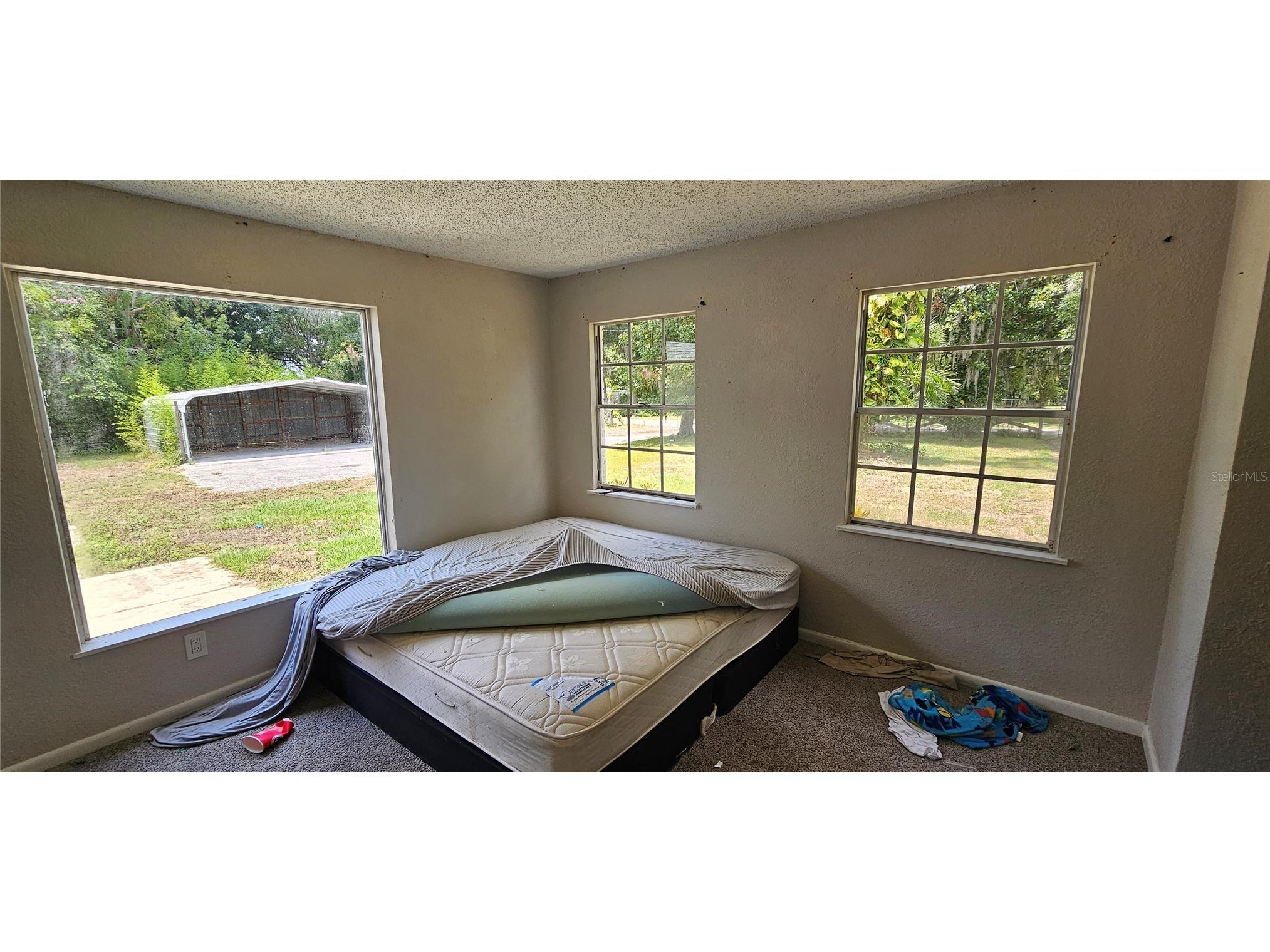 4375 Lindsey Loop Dover FL 33527 T3541294 image27