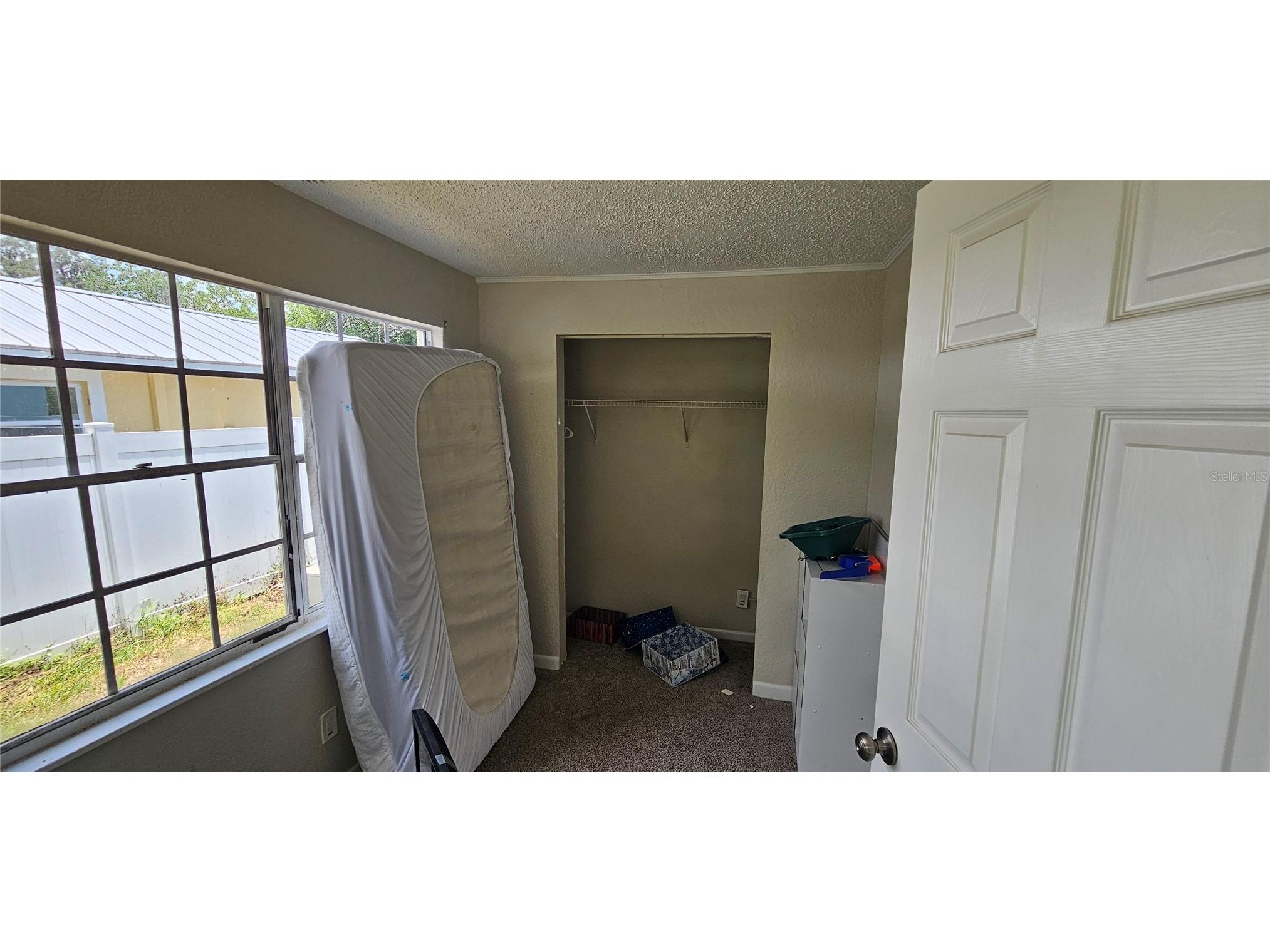 4375 Lindsey Loop Dover FL 33527 T3541294 image28
