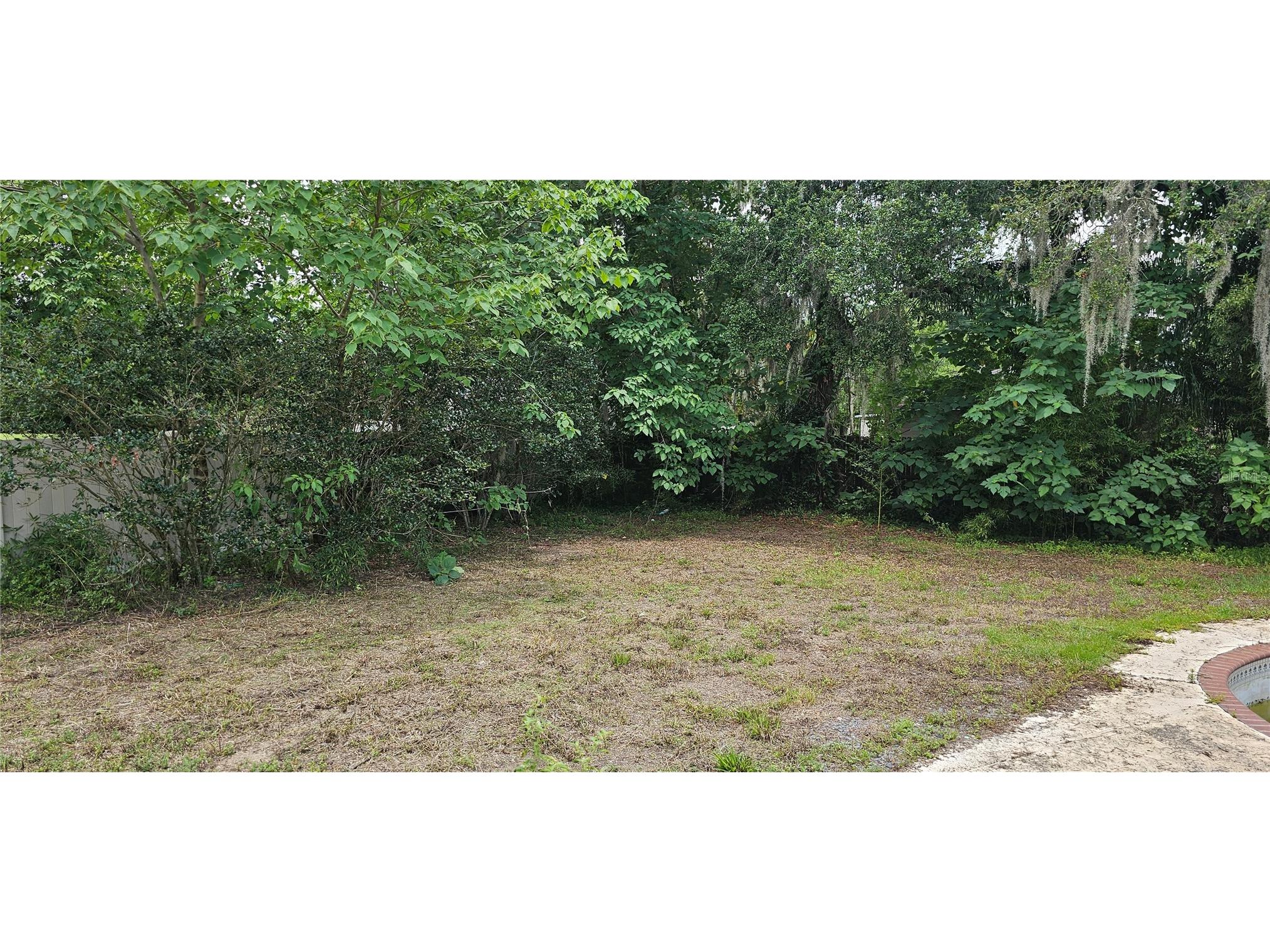 4375 Lindsey Loop Dover FL 33527 T3541294 image3