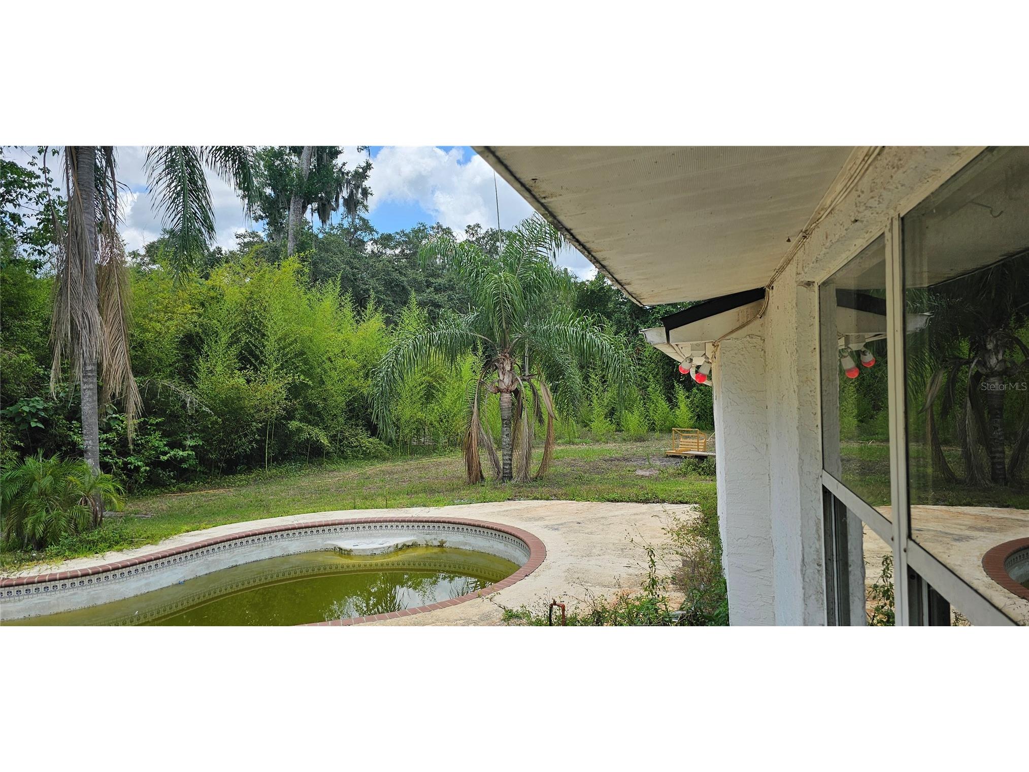 4375 Lindsey Loop Dover FL 33527 T3541294 image4