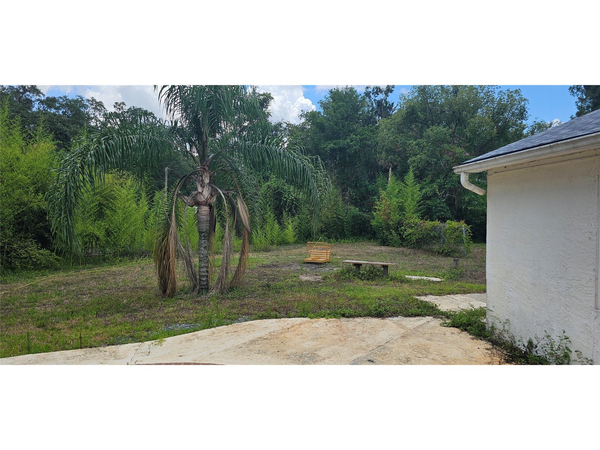 4375 Lindsey Loop Dover FL 33527 T3541294 image5