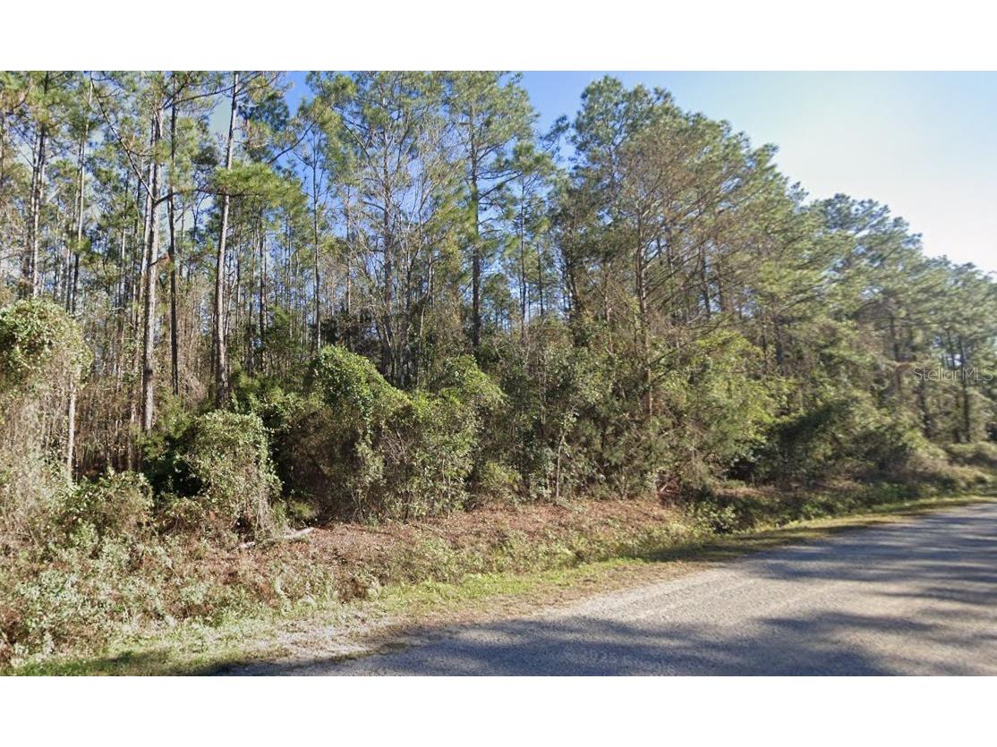 4375 Nancy Street Hastings FL 32145 FC314008 image1