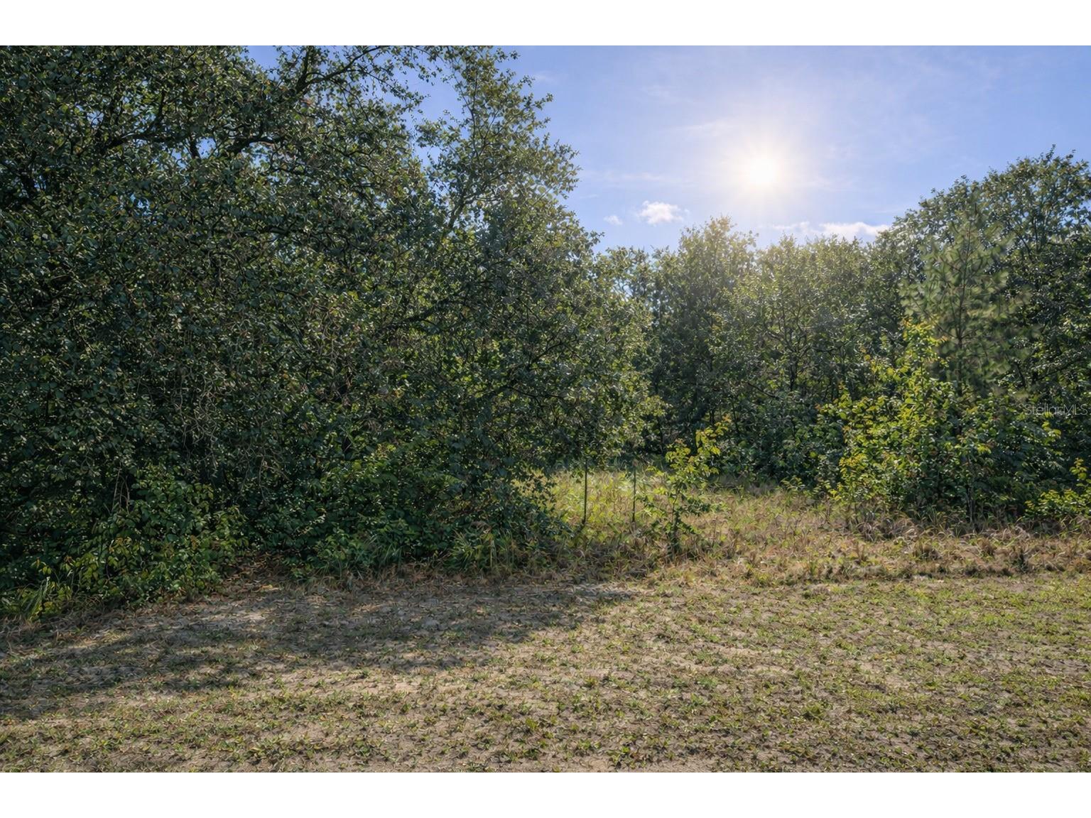 4375 SW 194th Avenue Dunnellon FL 34432 O6383335 image2