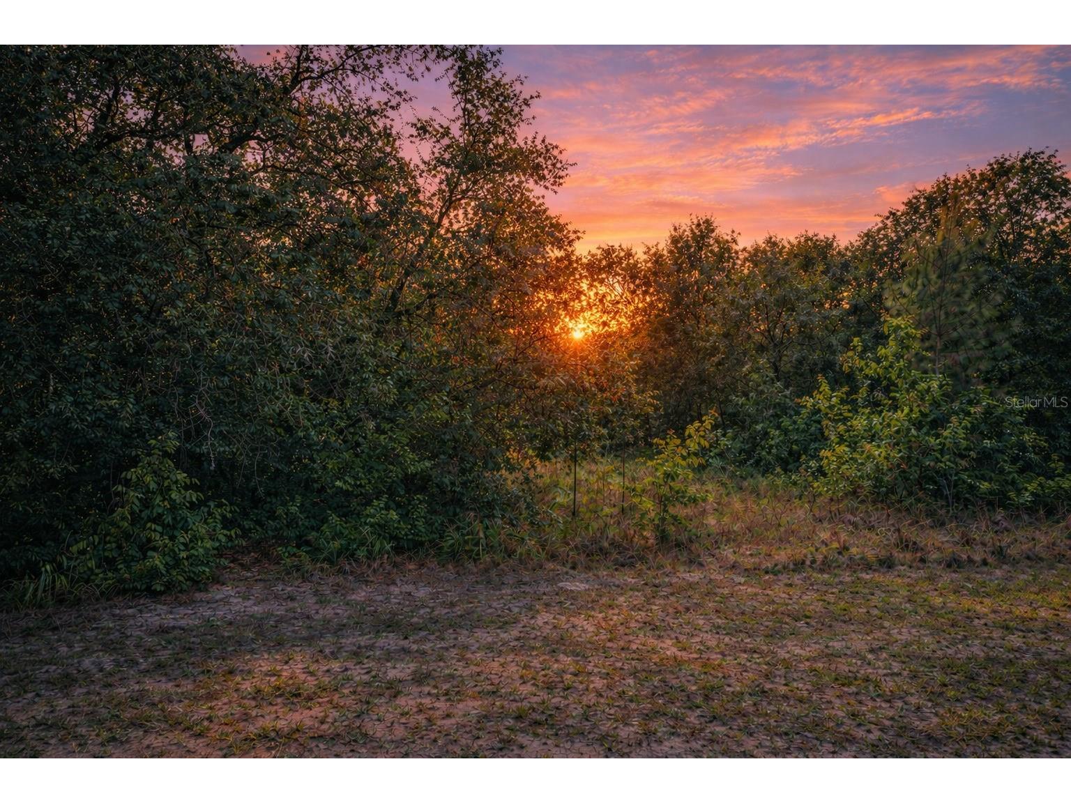 4375 SW 194th Avenue Dunnellon FL 34432 O6383335 image3
