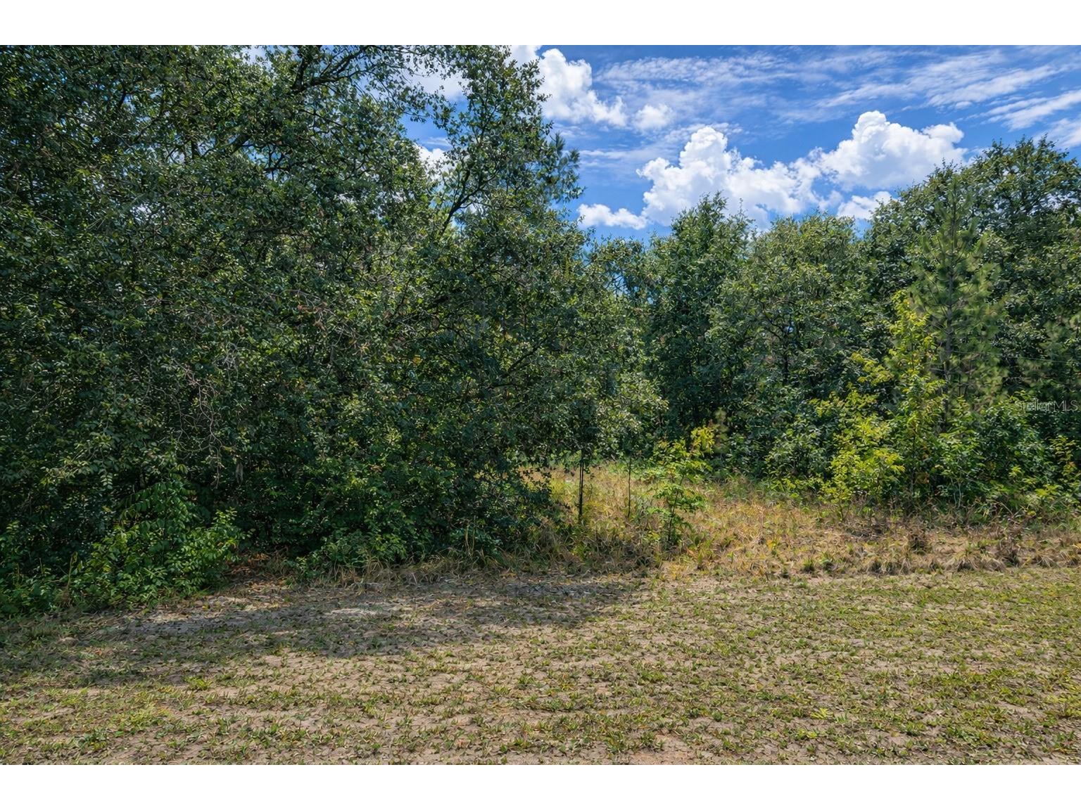 4375 SW 194th Avenue Dunnellon FL 34432 O6383335 image4