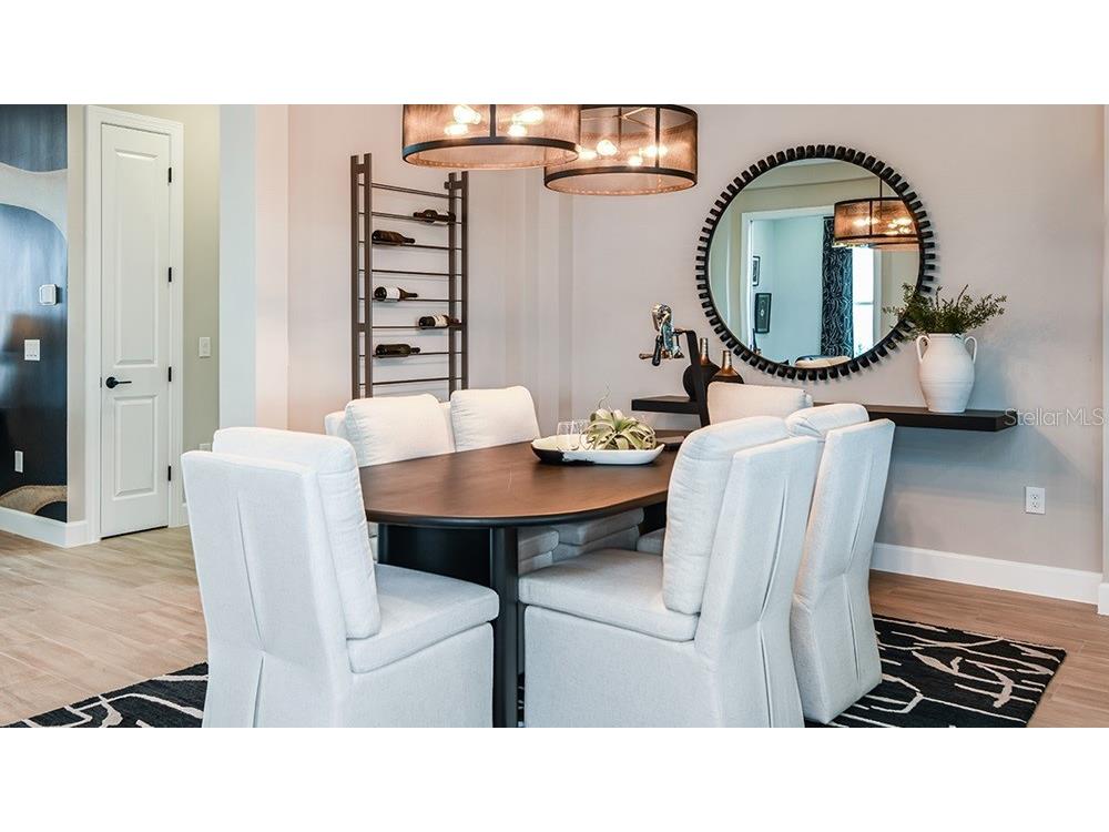 4376 Curacao Place Kissimmee FL 34758 O6351534 image8