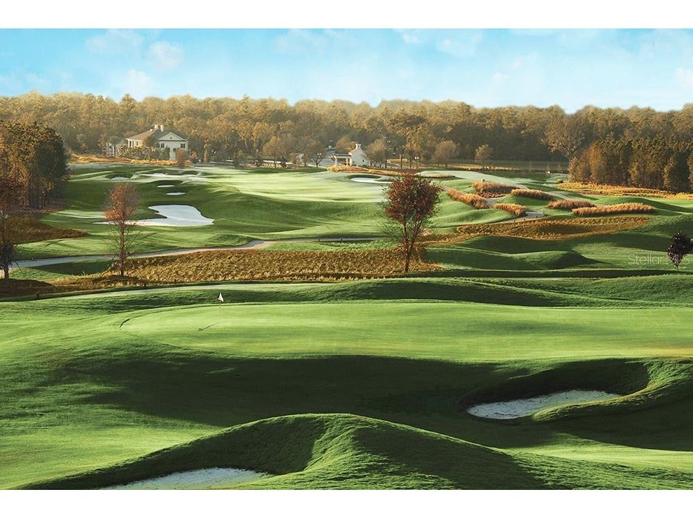 4376 Southern Valley Loop Brooksville FL 34601 TB8397741 image19