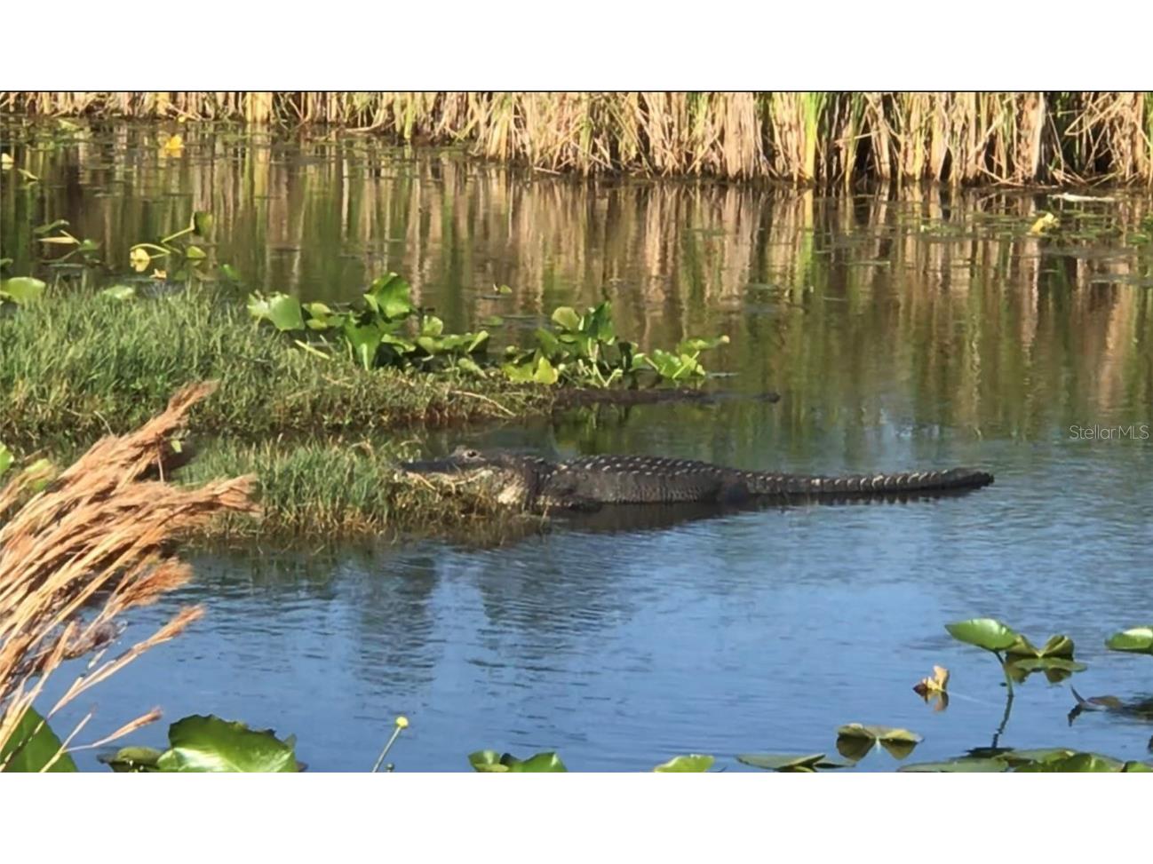 4377 Durant Street Port Charlotte FL 33948 A4615196 image10