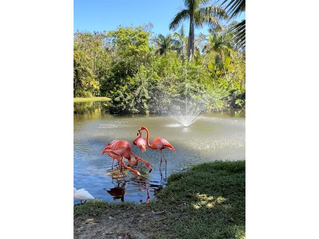 4377 Durant Street Port Charlotte FL 33948 A4615196 image7