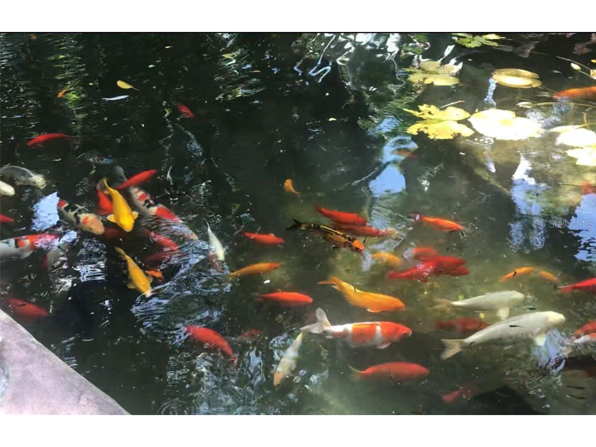 4377 Durant Street Port Charlotte FL 33948 A4615196 image9