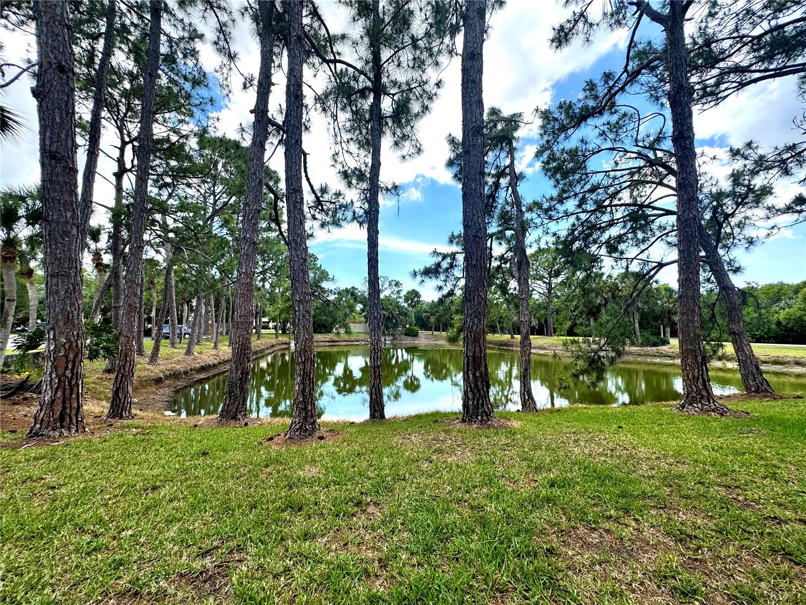 4377 Longmeadow #7 Sarasota FL 34235 A4692700 image22
