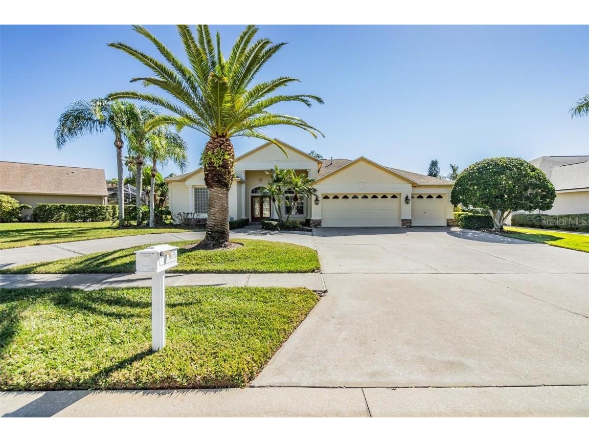 4377 Radcliffe Drive Palm Harbor FL 34685 U8231405 image1