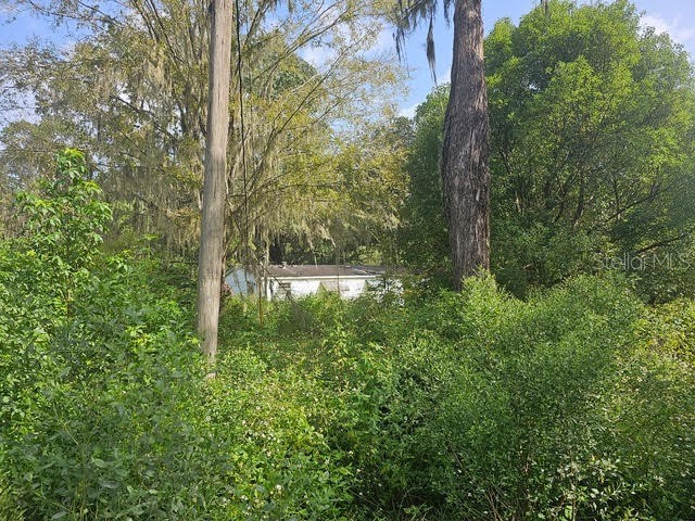 4377 SE 130th Street Belleview FL 34420 OM670450 image1
