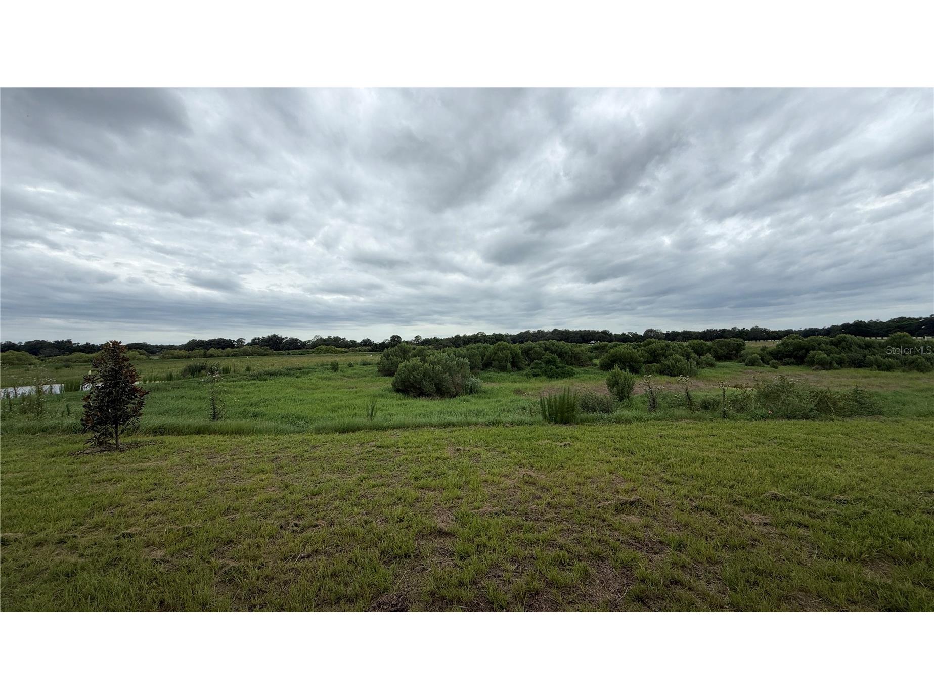 4378 Winesap Way Lakeland FL 33810 O6418426 image3