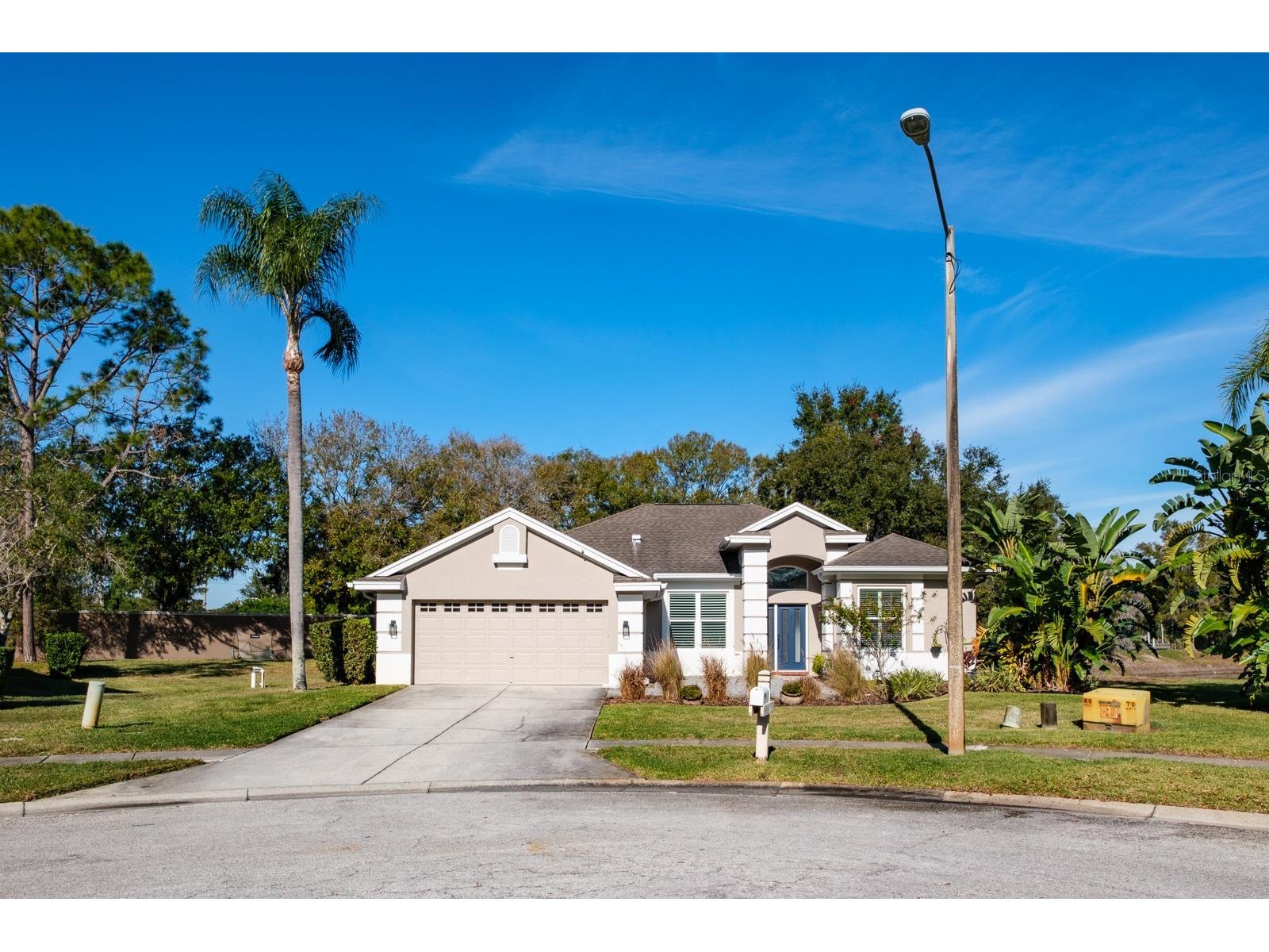 438 Equine Drive Tarpon Springs FL 34688 TB8459966 image1