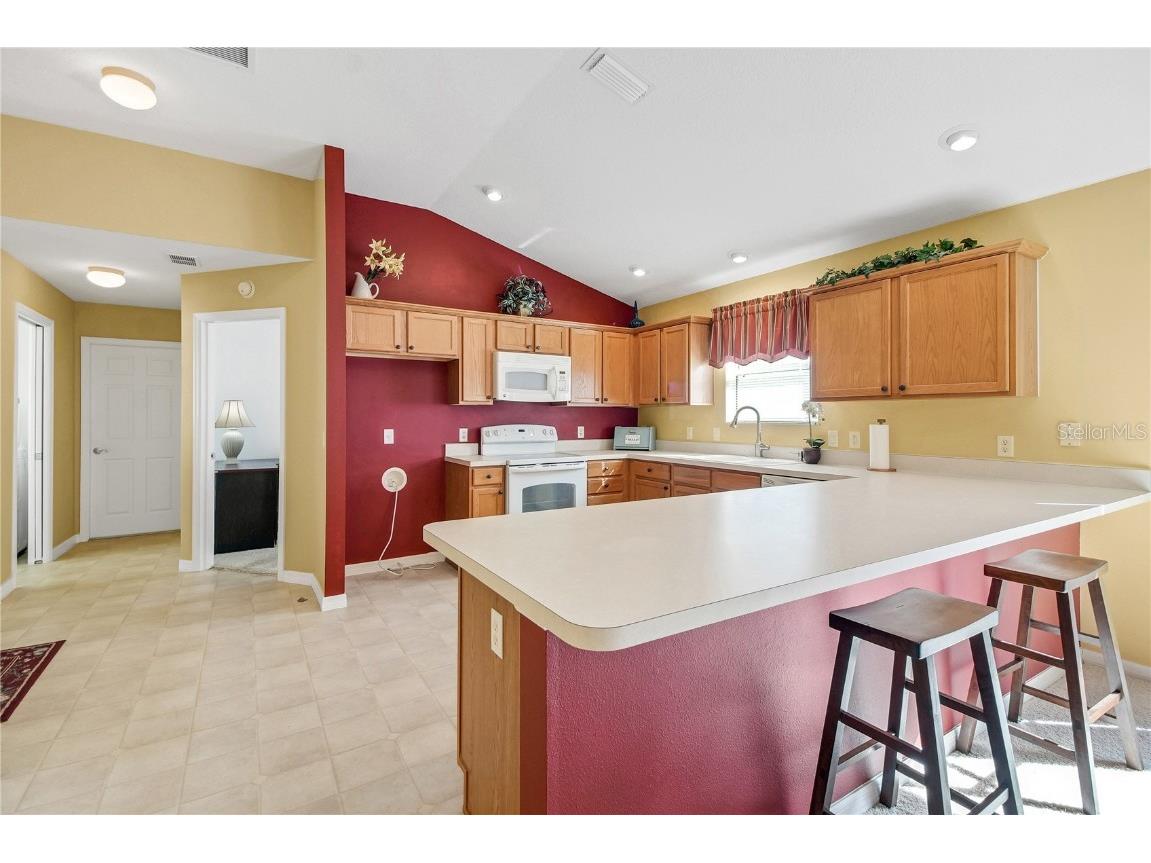 438 Grovewood Place The Villages FL 32162 G5105373 image26