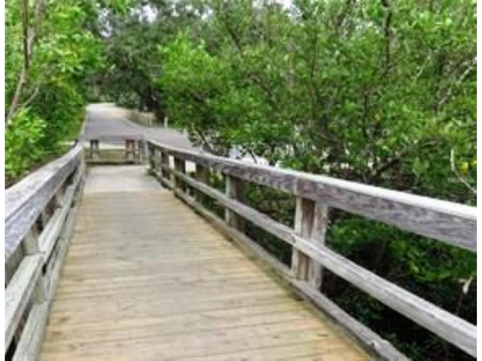 438 Lafayette Boulevard Oldsmar FL 34677 TB8480797 image49