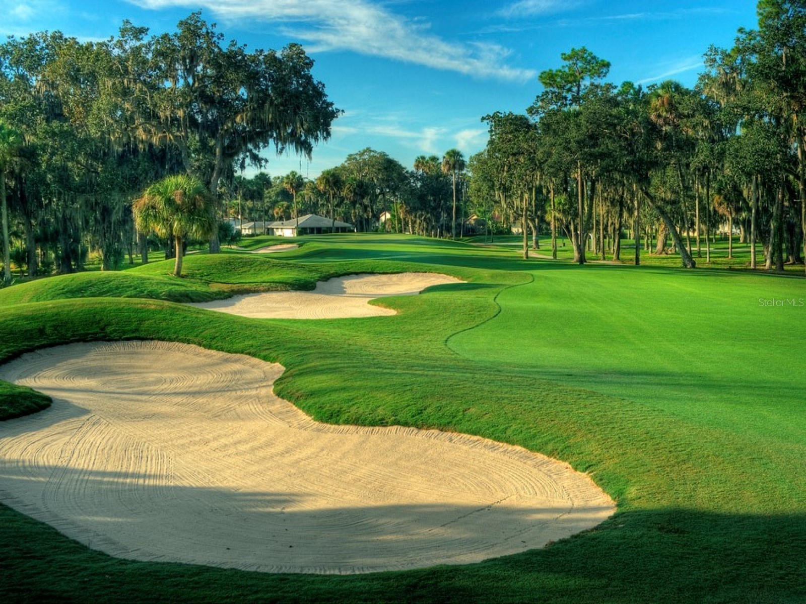 438 Lafayette Boulevard Oldsmar FL 34677 TB8480797 image50