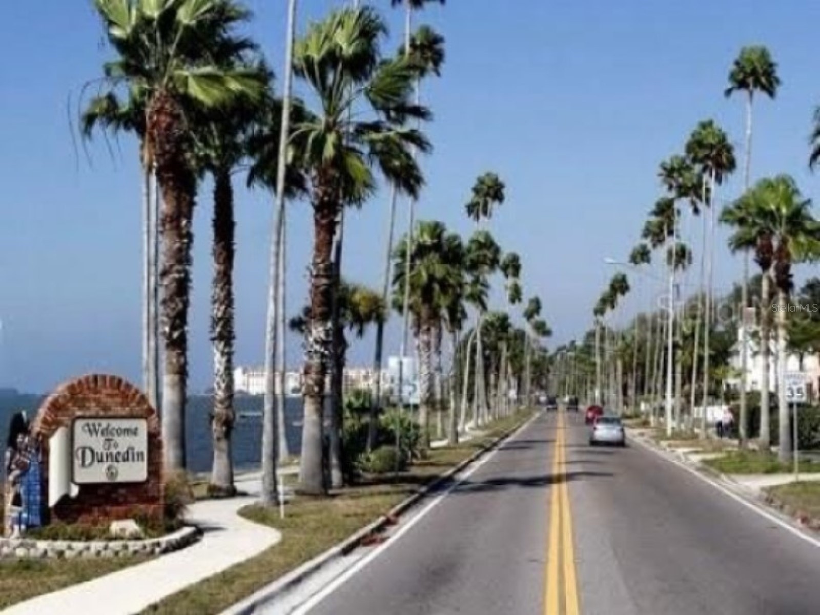 438 Lafayette Boulevard Oldsmar FL 34677 TB8480797 image52