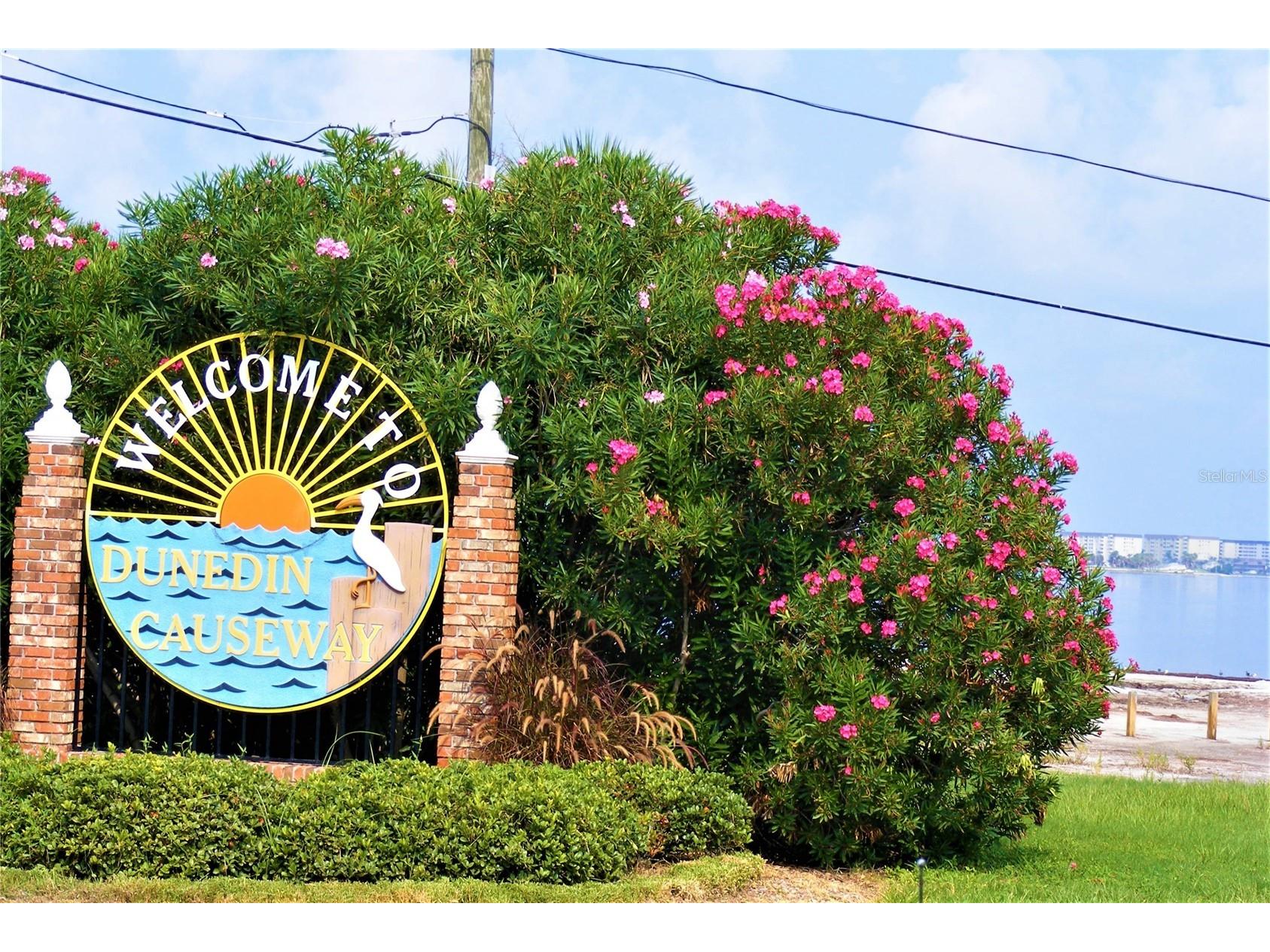 438 Lafayette Boulevard Oldsmar FL 34677 TB8480797 image55