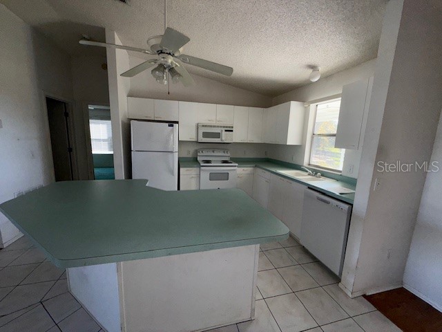 438 San Pedro Drive Lady Lake FL 32159 S5139321 image4