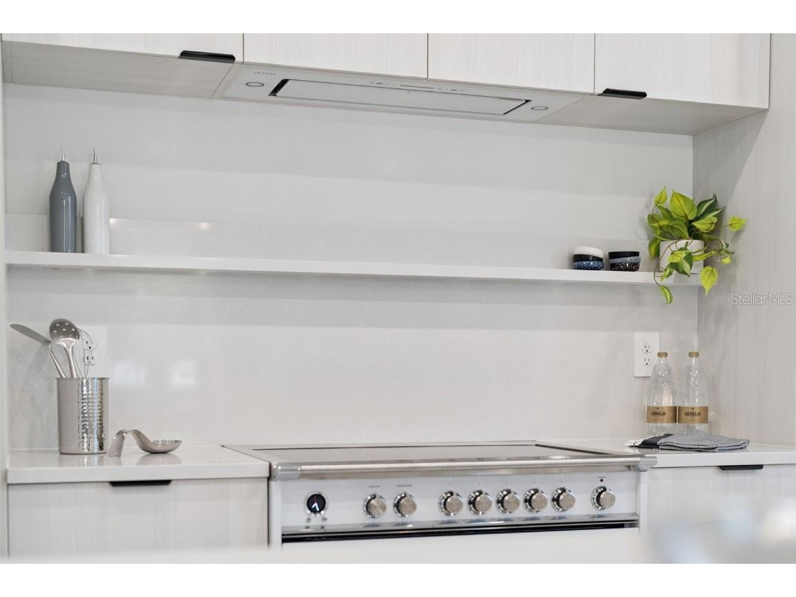 438 Skyfield Court Lady Lake FL 32159 G5105094 image9