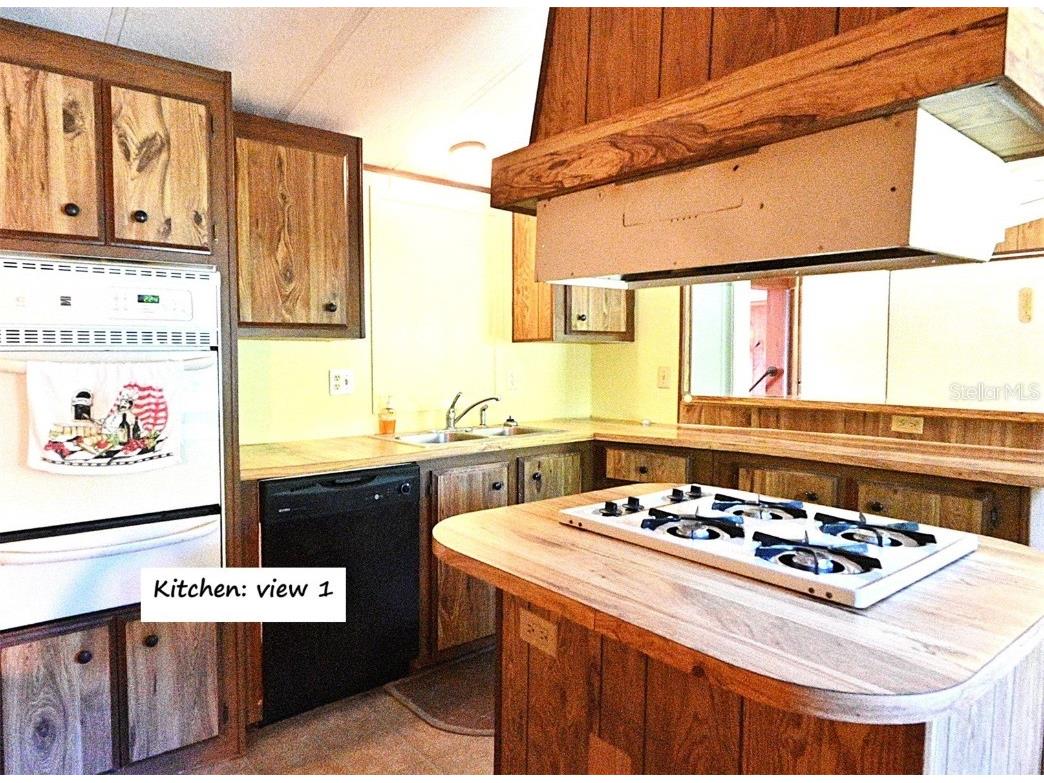 438 SW Dortch Street Fort White FL 32038 GC531746 image9