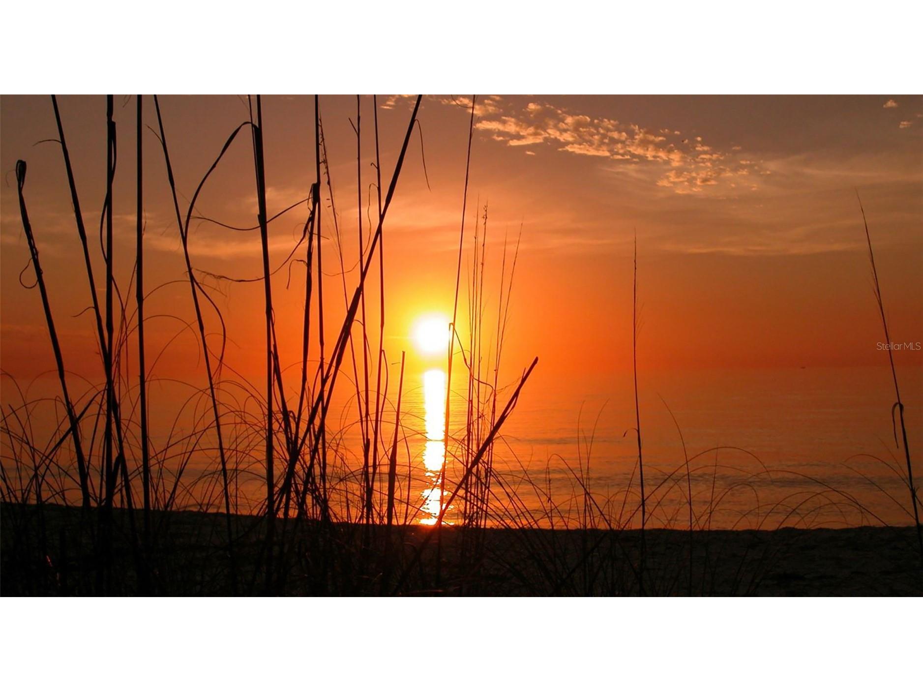 4380 Exeter Drive #101 Longboat Key FL 34228 A4686109 image81