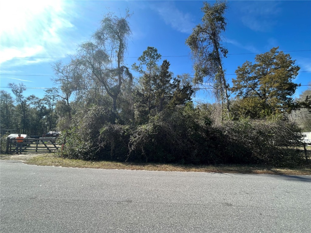 4380 N Laramie Terrace Hernando FL 34442 OK222459 image1