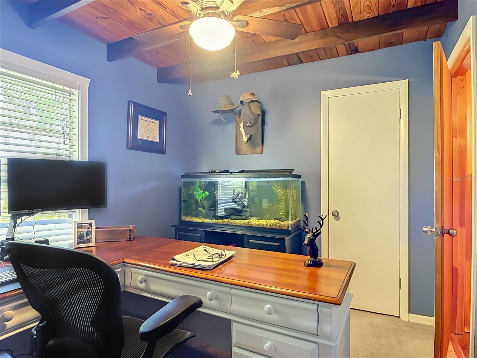 43809 Sunset Dr Paisley FL 32767 - LAKE LULU G5112629 image36
