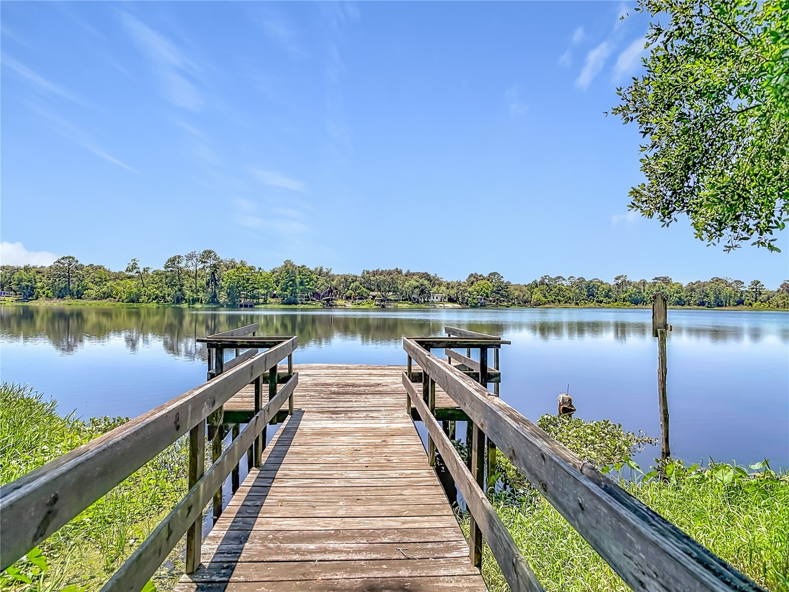 43809 Sunset Dr Paisley FL 32767 - LAKE LULU G5112629 image58