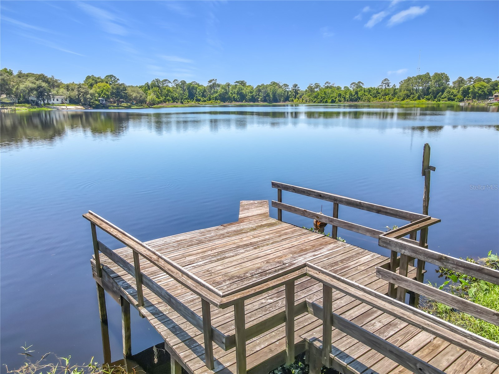 43809 Sunset Dr Paisley FL 32767 - LAKE LULU G5112629 image59