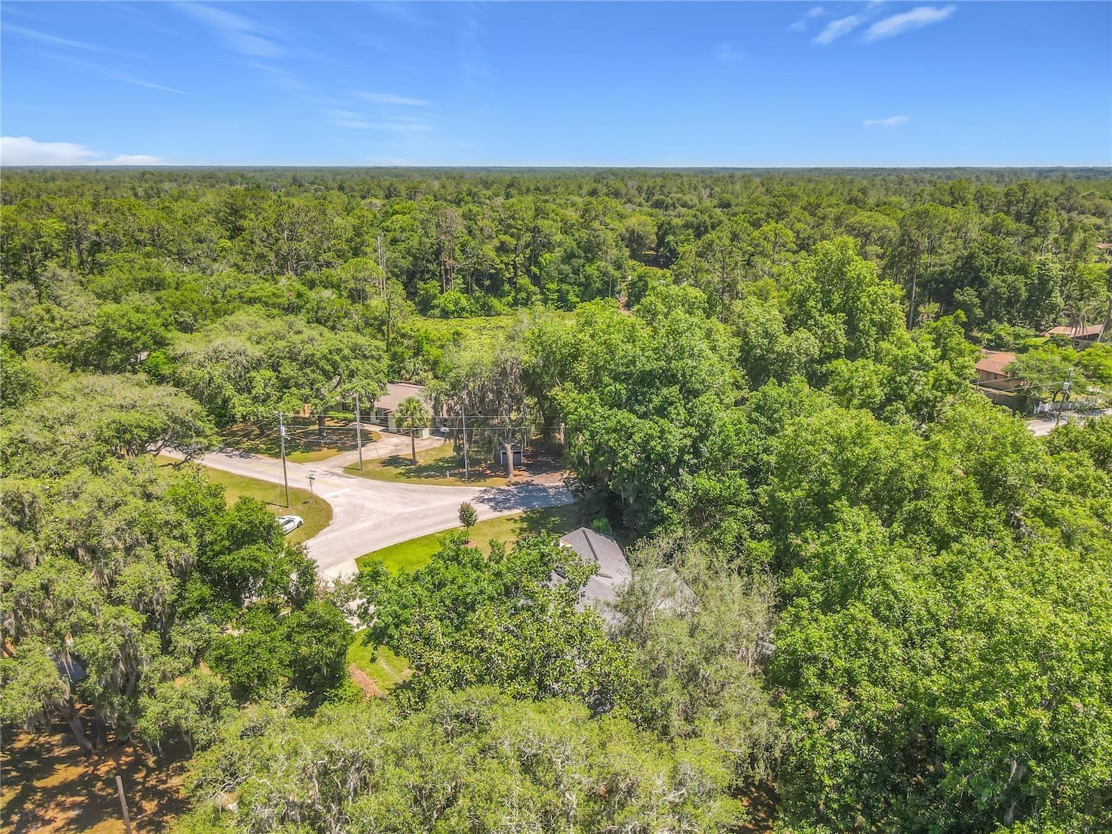 43809 Sunset Dr Paisley FL 32767 - LAKE LULU G5112629 image67