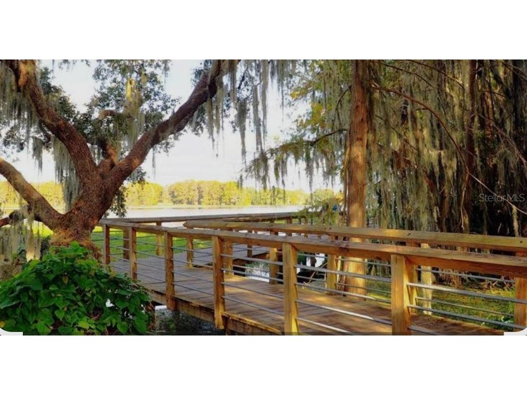 4381 E Ravenna Street Inverness FL 34453 OM706906 image42