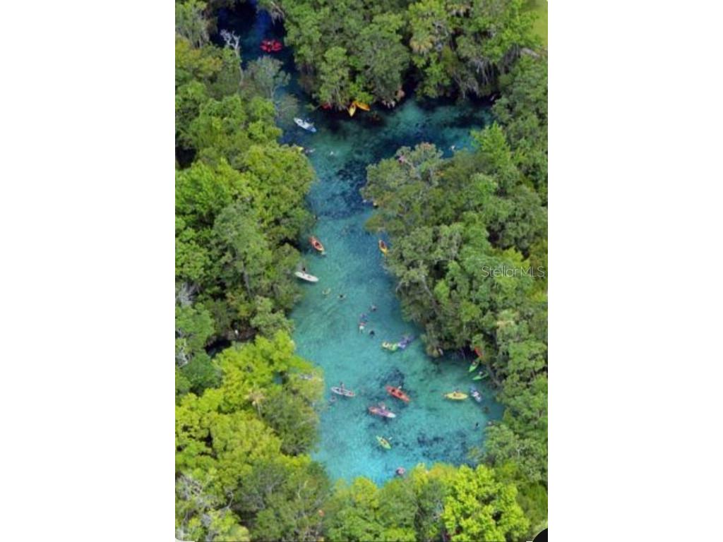 4381 E Ravenna Street Inverness FL 34453 OM706906 image44