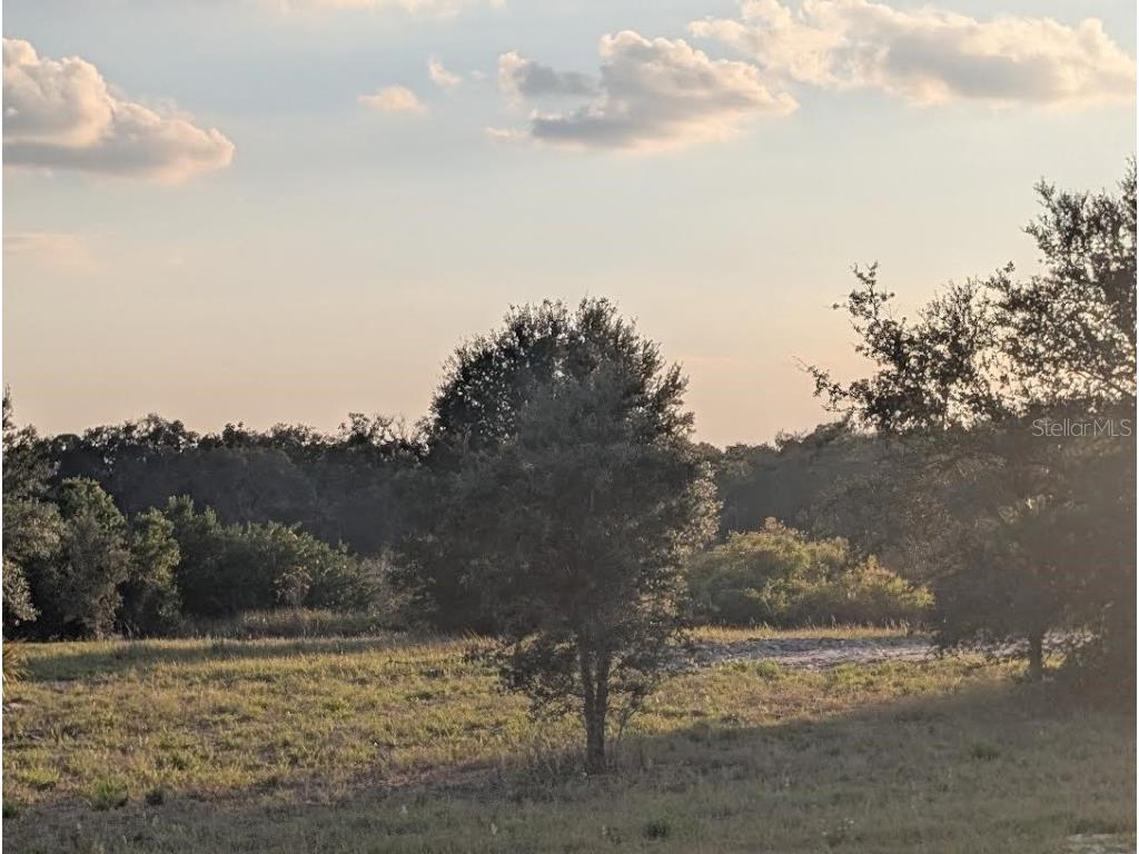 4381 Mammoth Grove Road Lake Wales FL 33898 TB8448928 image10