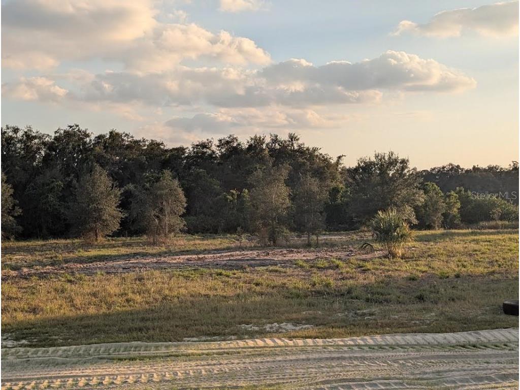 4381 Mammoth Grove Road Lake Wales FL 33898 TB8448928 image12