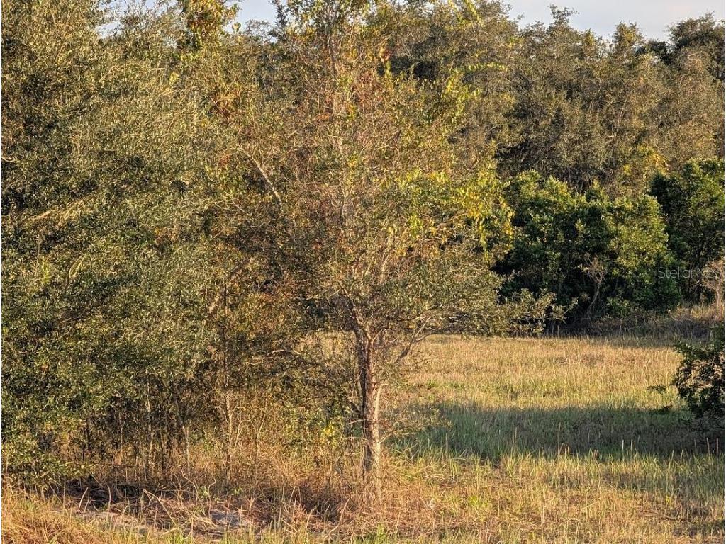 4381 Mammoth Grove Road Lake Wales FL 33898 TB8448928 image14