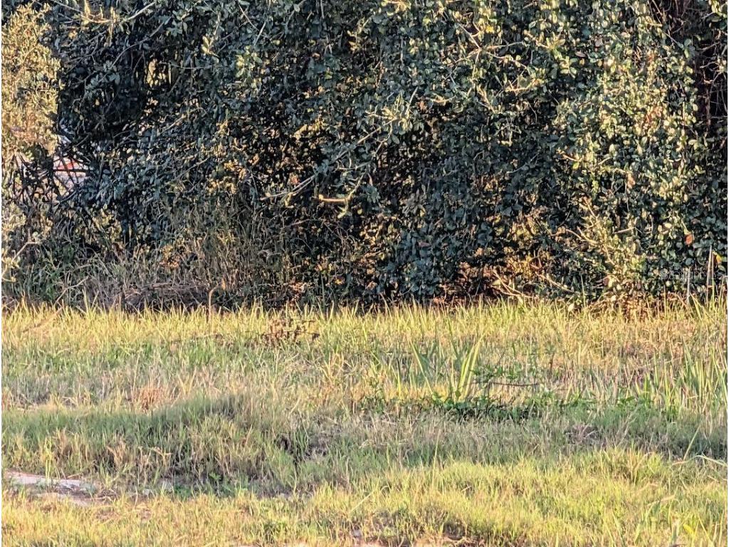 4381 Mammoth Grove Road Lake Wales FL 33898 TB8448928 image16