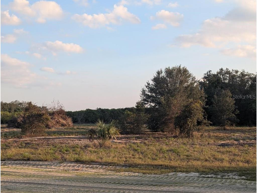 4381 Mammoth Grove Road Lake Wales FL 33898 TB8448928 image17