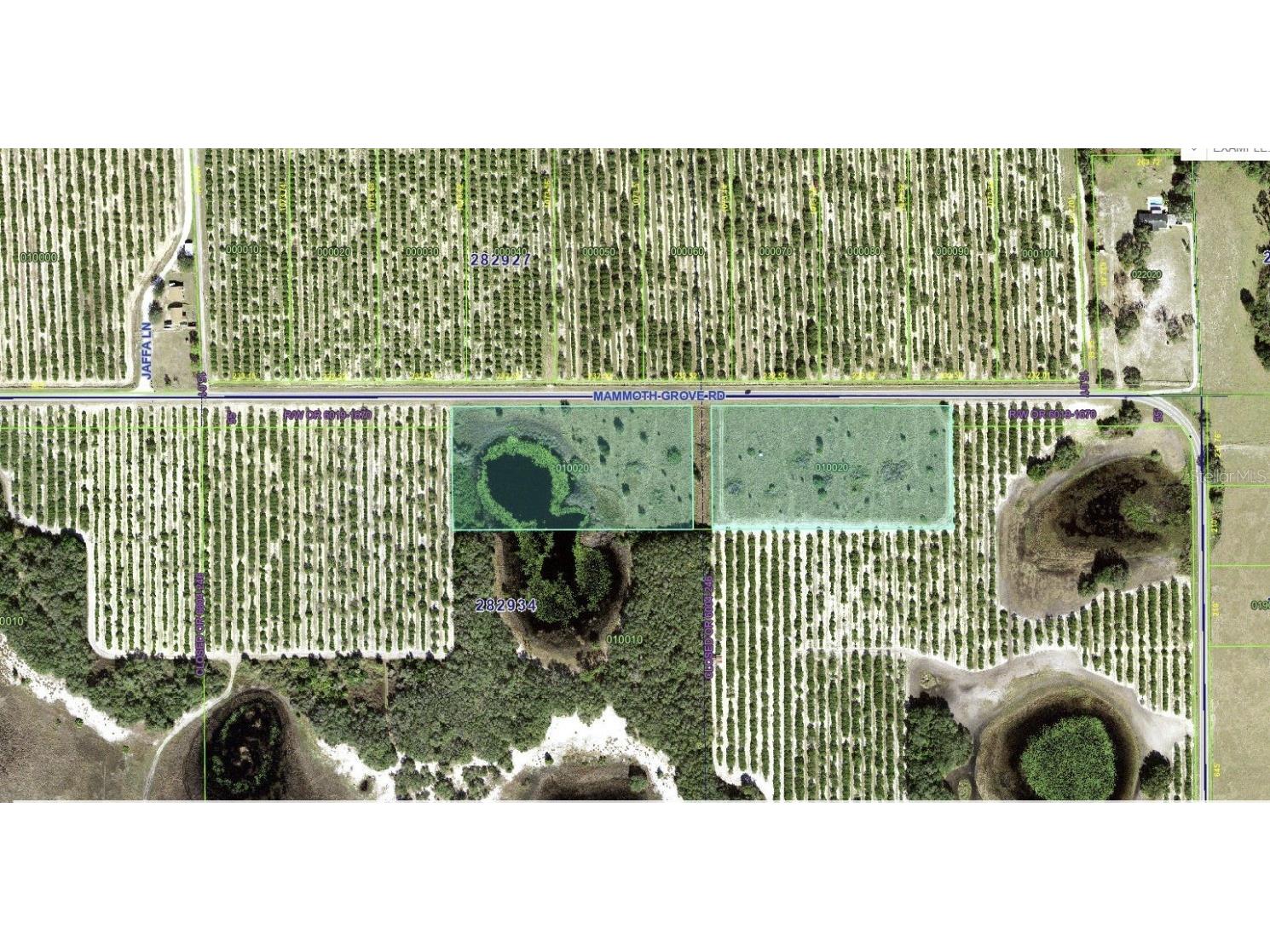 4381 Mammoth Grove Road Lake Wales FL 33898 TB8448928 image3