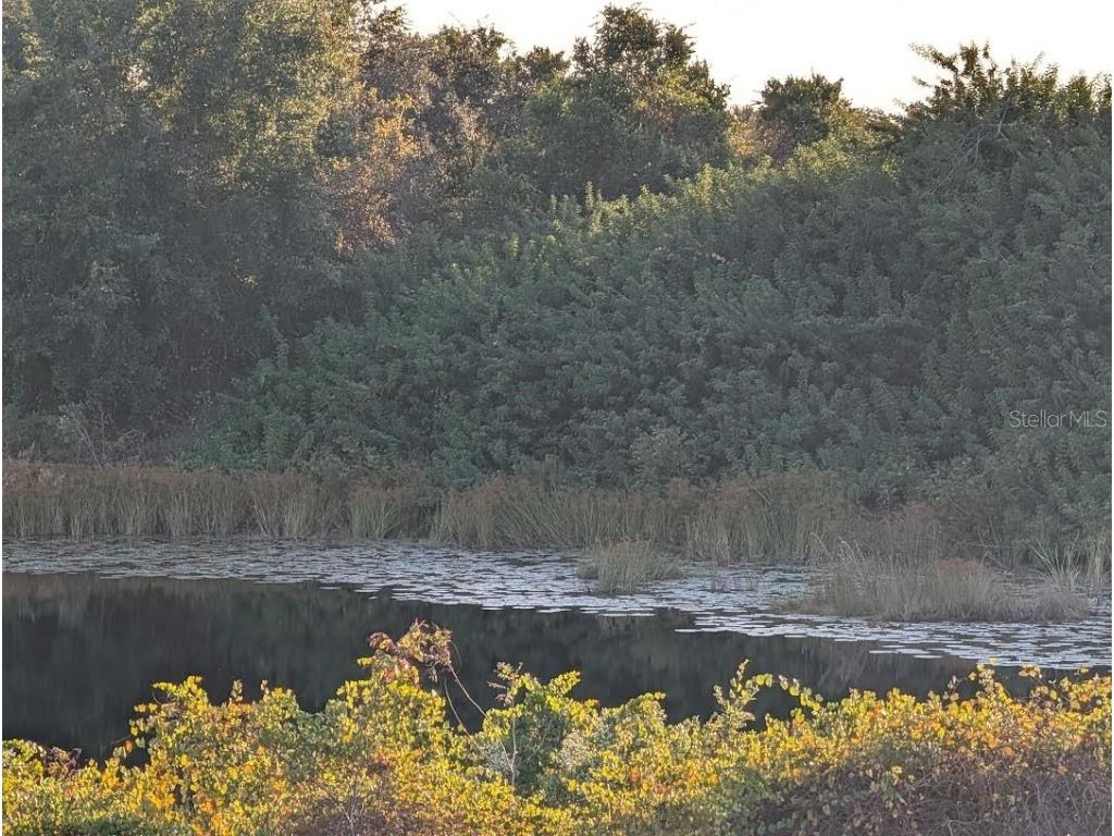 4381 Mammoth Grove Road Lake Wales FL 33898 TB8448928 image7